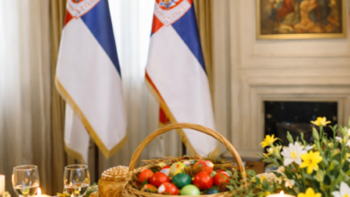 Izvor: Foto Niš TV/IlustracijaChatGpt