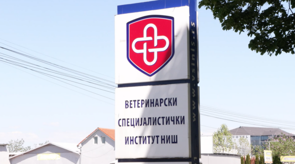 Izvor: Foto Niš TV