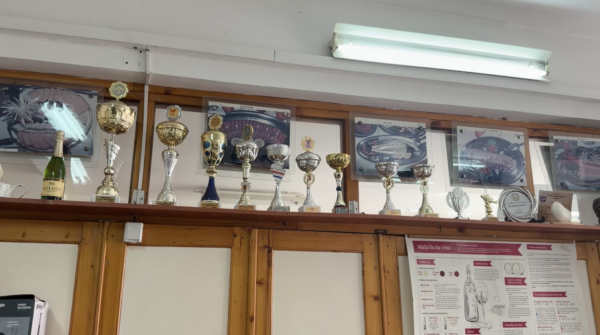 Izvor: Foto Niš TV