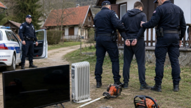 Foto: Niš TV/Ilustracija ChatGpt
