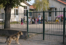 Izvor: Foto Niš TV/IlustracijaChatGpt