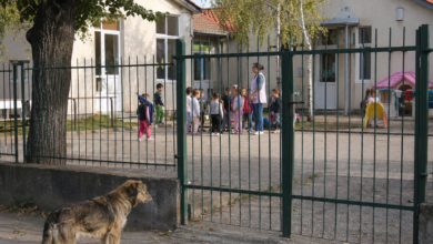 Izvor: Foto Niš TV/IlustracijaChatGpt
