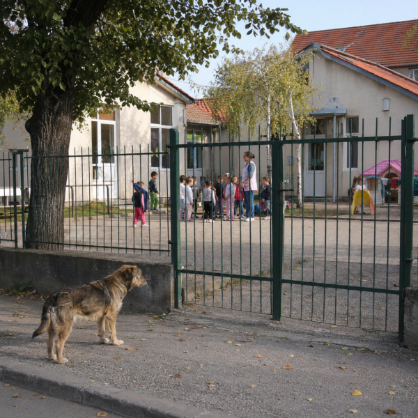 Izvor: Foto Niš TV/IlustracijaChatGpt