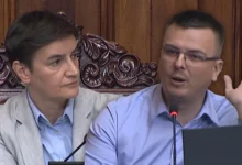 Foto: Parlament Srbije/YouTube