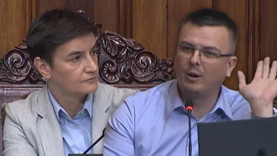 Foto: Parlament Srbije/YouTube
