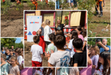 Foto: Niš TV
