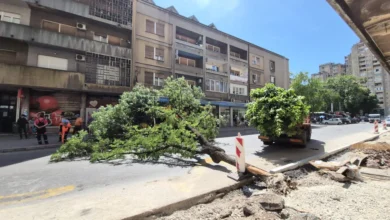 Foto: Blic