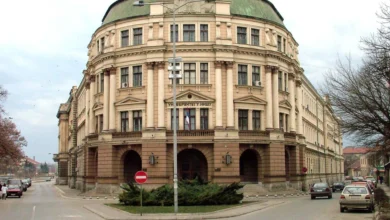 Foto: Niš TV