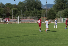 Foto: Niš TV