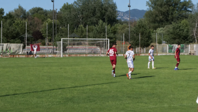 Foto: Niš TV