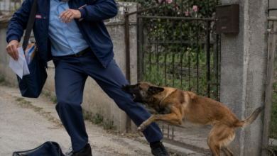 Foto: Niš TV/Ilustracija ChatGpt