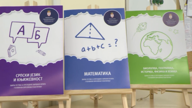 Foto: Niš TV
