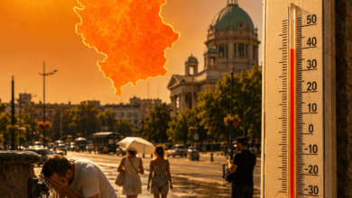 Foto: Niš TV/IlustracijaChatGpt