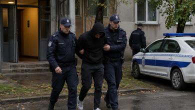 Foto: Niš TV/ Ilustracija ChatGpt