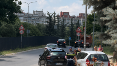 Foto: Niš TV