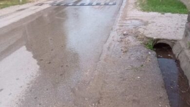 Foto: JKP Naissus Niš