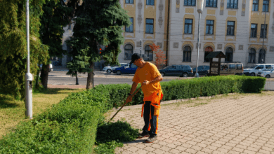 Foto: Niš TV