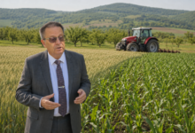 Foto: Niš TV