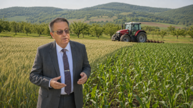 Foto: Niš TV
