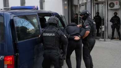 Foto: Niš TV/IlustracijaChatGpt