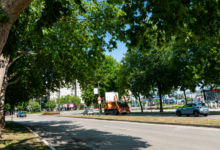 Foto: Niš TV