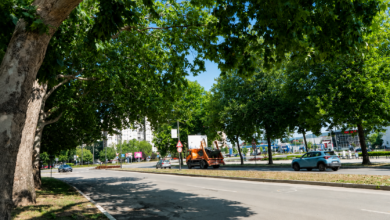 Foto: Niš TV