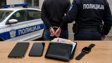 Foto: Niš TV/ Ilustracija ChatGPT