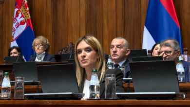 Foto: Niš TV/printscreen
