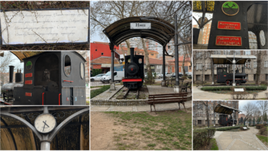 Foto: Niš TV