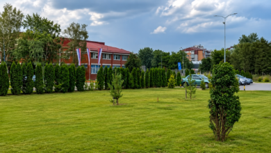Foto: Niš TV