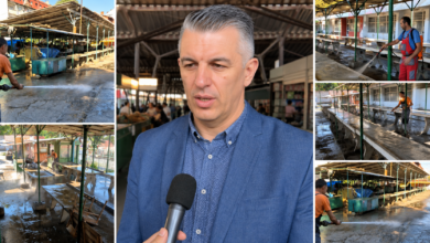 Foto: Niš TV