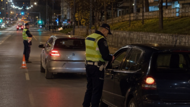 Foto: Niš TV/IlustracijaChatGpt
