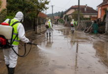 Foto: Niš TV/Ilustracija ChatGpt