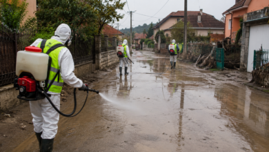 Foto: Niš TV/Ilustracija ChatGpt