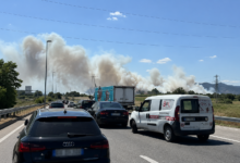Foto: Niš TV