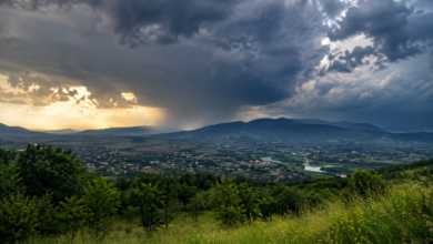 Foto: Niš TV/Ilustracija ChatGpt