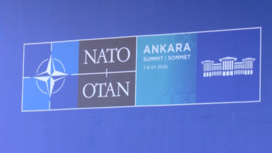 Foto: Niš TV/printscreen