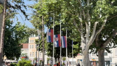 Foto: Niš TV