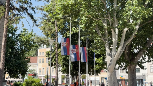 Foto: Niš TV