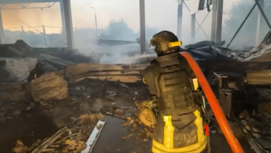 Foto: Niš TV/printscreen