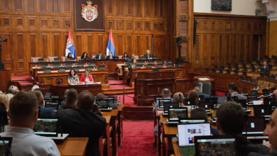 Foto: Niš TV/screenshot