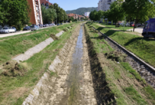 Foto: Niš TV