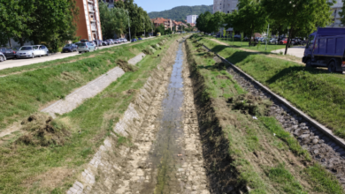 Foto: Niš TV