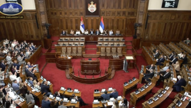 Foto: Niš TV/printscreen