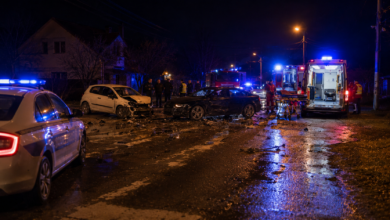 Foto: Niš TV/Ilustracija ChatGpt