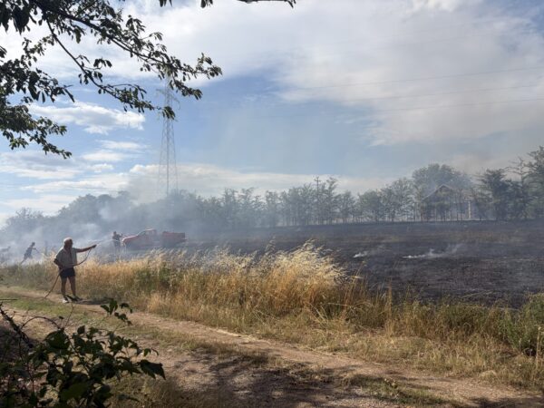 Foto: Niš TV