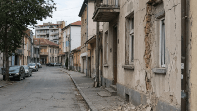 Foto: Niš Tv/ilustracijaChatGpt
