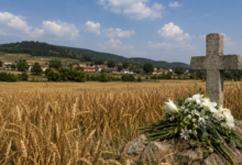 Foto: Niš TV/AI