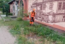 Foto: JKP "Mediana"