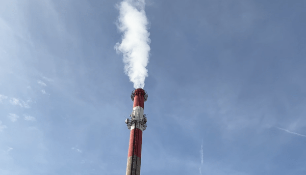 Foto: Niš TV